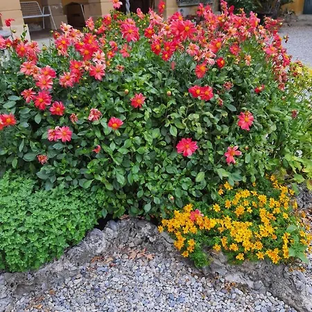 Sant'anna Отель типа 